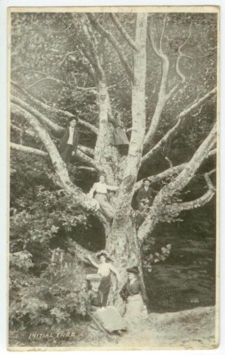 c1910 Initial Tree and tourists - posted 1912 Seaview Washington