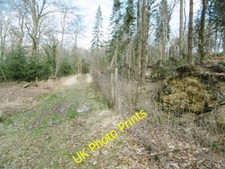 Photo 6x4 Churchplace Inclosure, deer-proof fencing Ashurst/SU3310 The e c2015