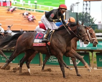 2026 Golden Tempo Kentucky Derby Winner 8X10 Glossy Horse Racing Print #3