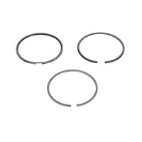 Kolbenringsatz Mahle 029 52 N0