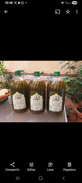 ACEITE DE OLIVA  AOVE-AL-ANDALUS  ECOLOGICO 3 GARRAFAS DE 5 LITROS OFERTON