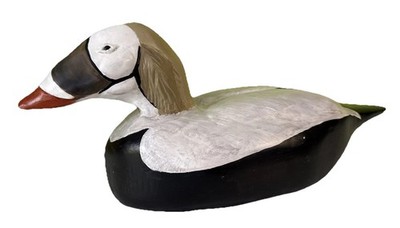 Vintage Spectacled Fischer s Eider Carved Wood Duck Decoy Paul Bussone 1995, 16''