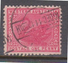 (K560-64) 1911 Western Australia 1d red Swan stamp (BN)