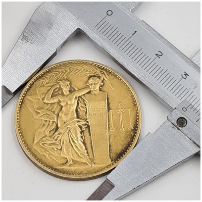 RARE MEDAILLE EN Bronze Union Des Industries Chimiques À Définir EUR 15
