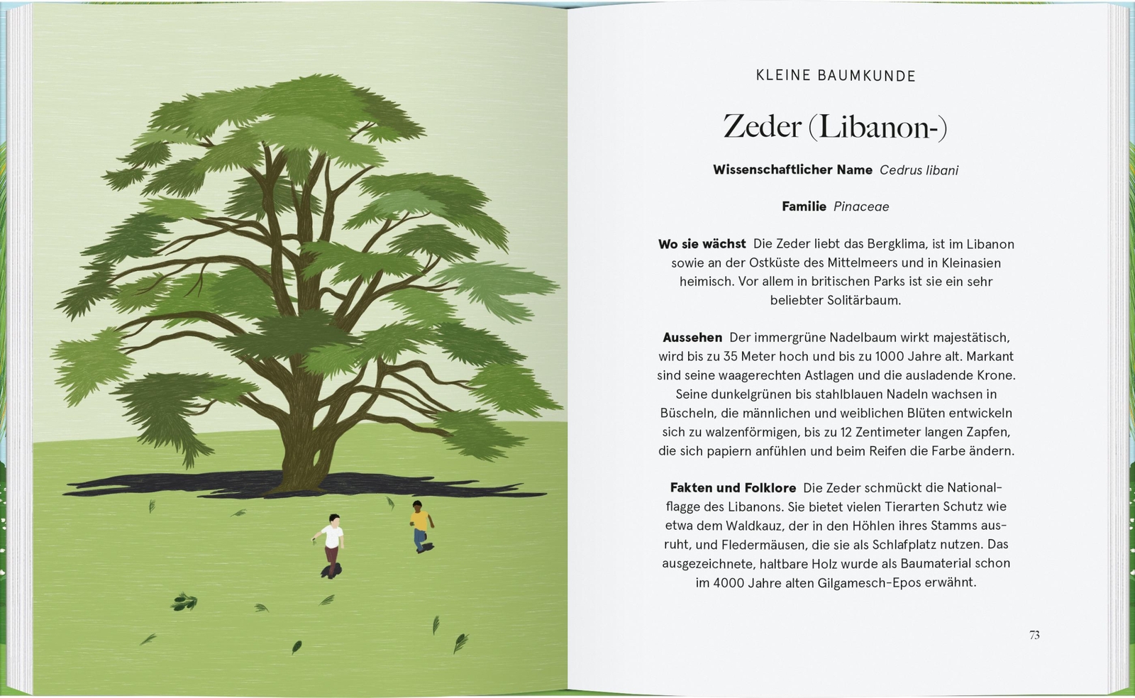 Thumbnail - Be More Tree | Alison Davies | Was Wir Von Bäumen Lernen Können | Buch