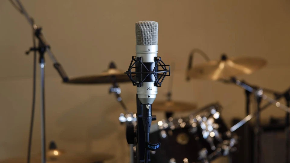 Tascam TM80 Cardioid Condenser Microphone Studio Recording Mic Stand XLR Cable - Image 2 of 4
