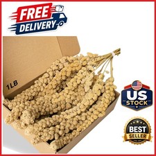 Spray Millet Treat for Birds 1 LB Natural Sun-Dried for Parakeets and Cockatiels