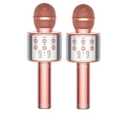 2x Fede Karaoke Mikrofon | Rose Gold Wireless Bluetooth für Kinder | 2er Pack