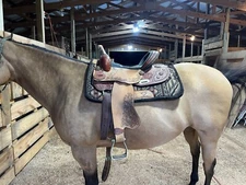 Double T Barrel Saddle
