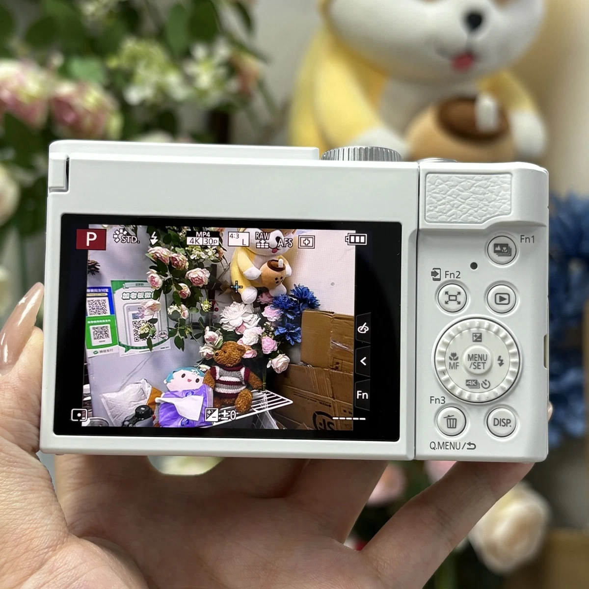 Panasonic LUMIX TZ99/ZS99 20.3 MP 30x Optical Zoom Digital Camera