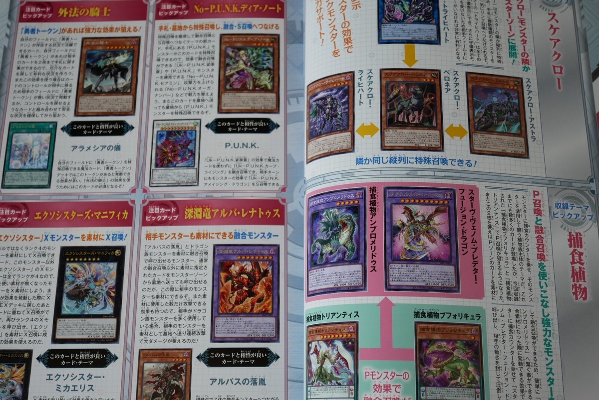 いちばん好き 2冊セット 貴重レア品 Yu-Gi-Oh! Official Card Catalog: The Valuable EX2 with Card