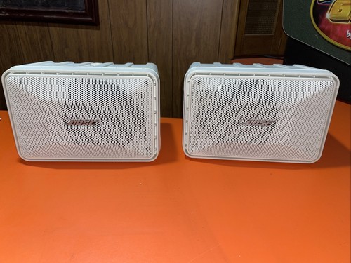 Bose Model 101 Series II Music Indoor 