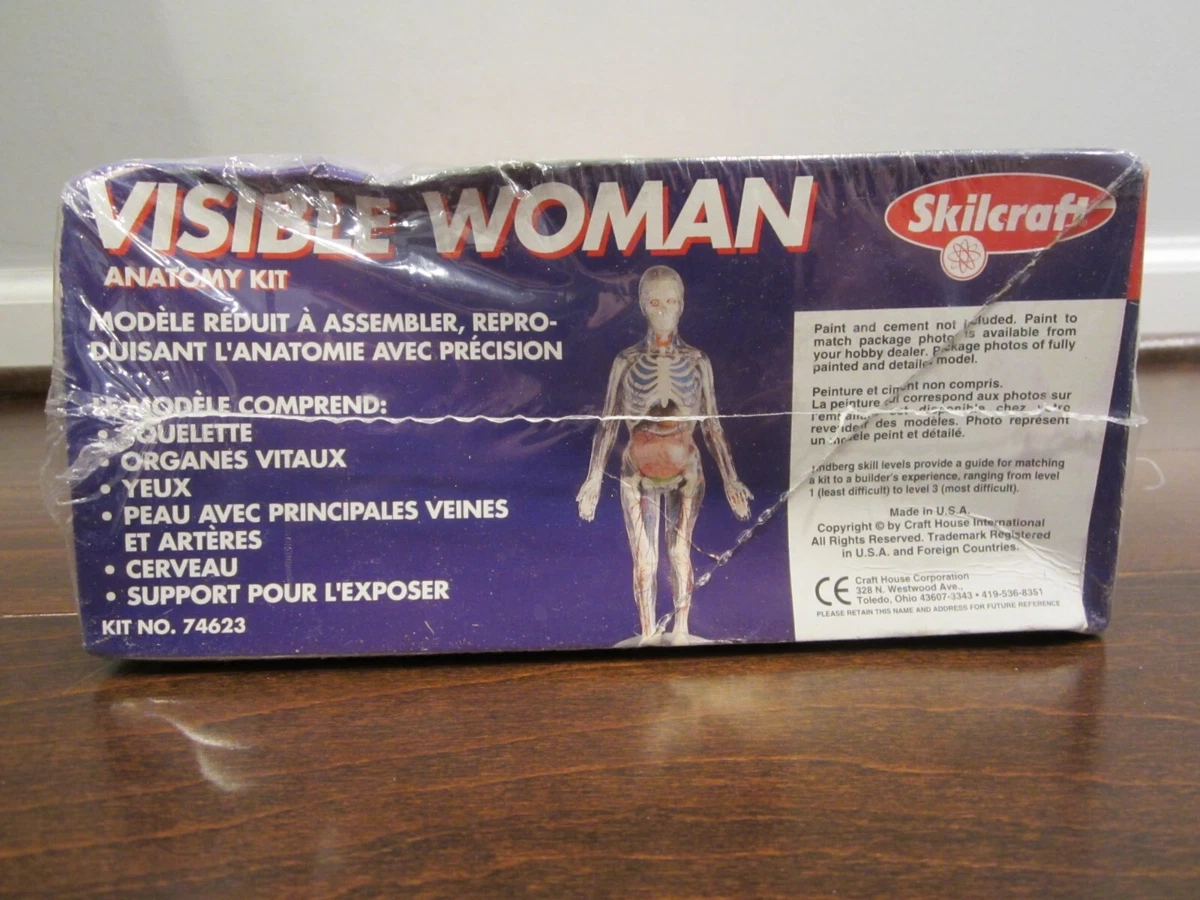 VISIBLE WOMAN Anatomy Kit (Plastic Model Kit) (Skilcraft