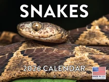 Snake Calendar 2026 Snakes Monthly Wall Calender 12 Month