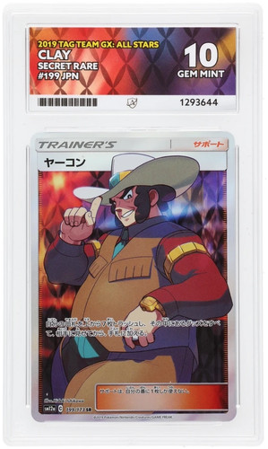 PERFECT ACE 10 GEM MINT Clay SR 199/173 Japanese Tag Team GX All Stars