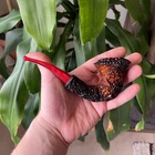 S.Yanik Meerschaum Pipe Calcine Freehand Tobacco Smoking Pipe