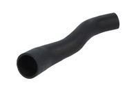 Ladeluftschlauch Thermotec DCG192TT