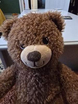 Build A Bear Workshop weicher brauner Happy Birthday Bär weiches Stofftier