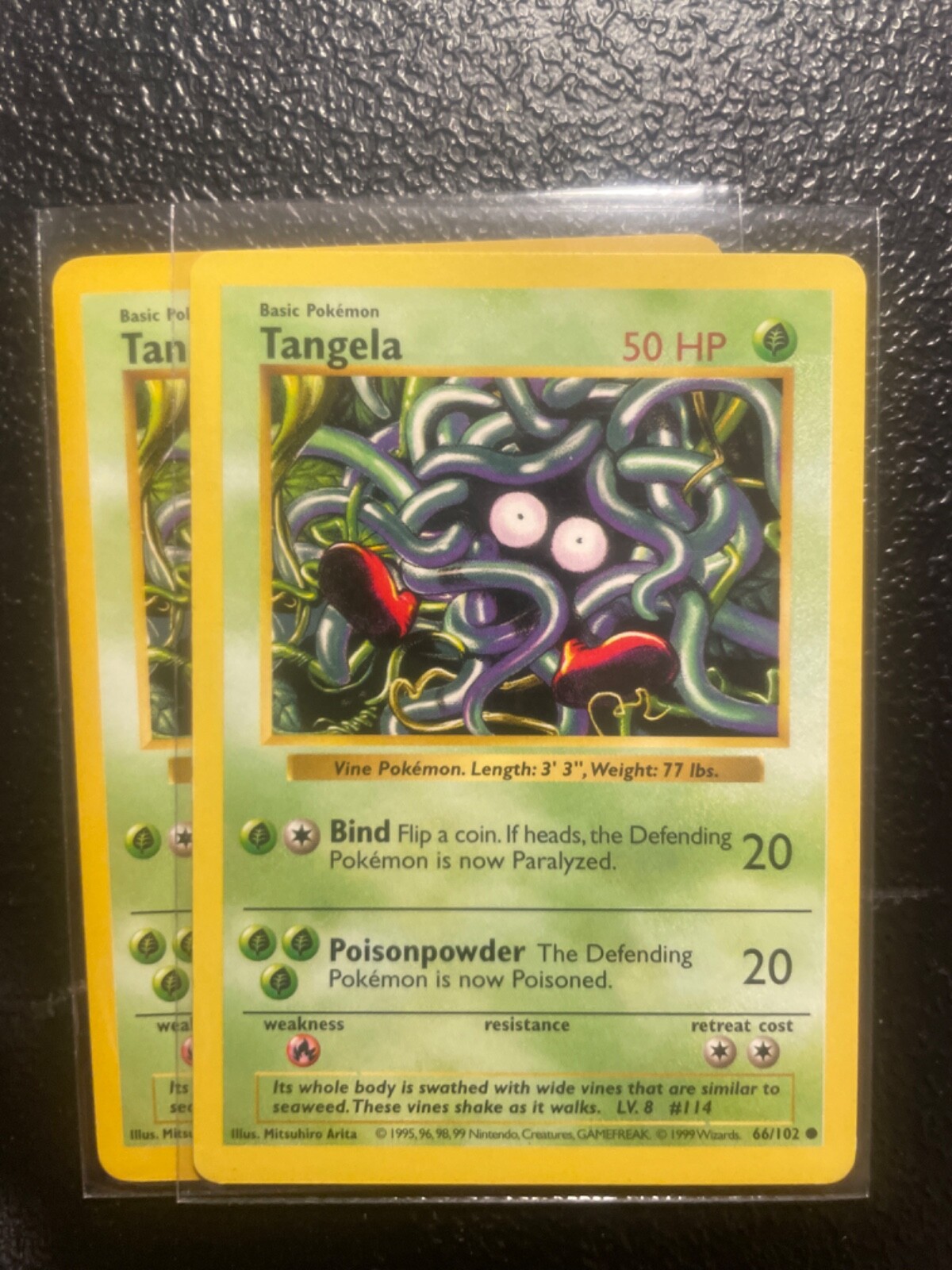 Pokémon vintage wotc Tangela 66/102 LP - SHADOWLESS - 1999 Base Pokemon