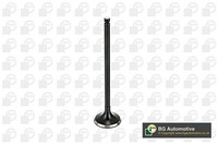 Auslassventil BGA V165411 FüR Juke Nissan Micra Qashqai NJ10 F15 J10 1 3 K12 Z12