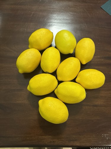 Bulk of 10 Faux Plastic Lemons  Used For Decoration
