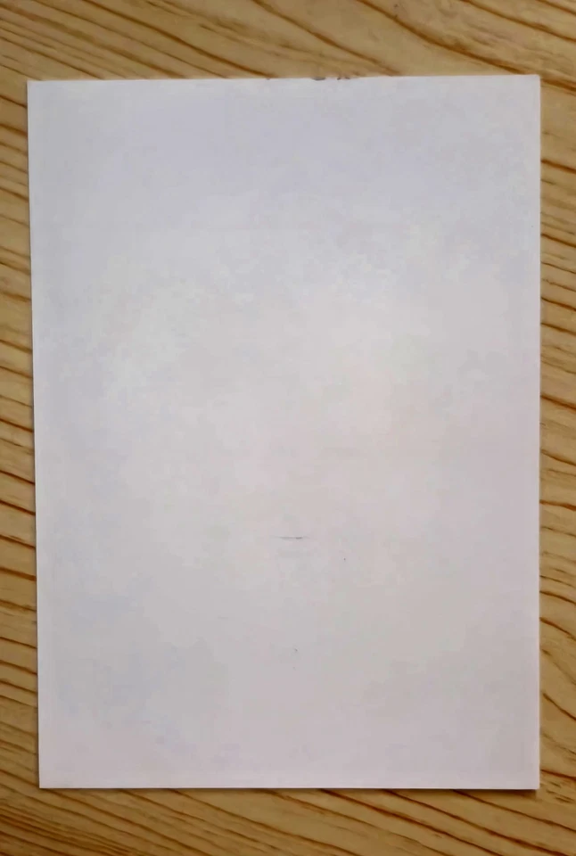 Blazers Portland Trail DICKS_ADIDAS 5" X 7" FIRMADOS POR Martell Webster Foto 3 de 3