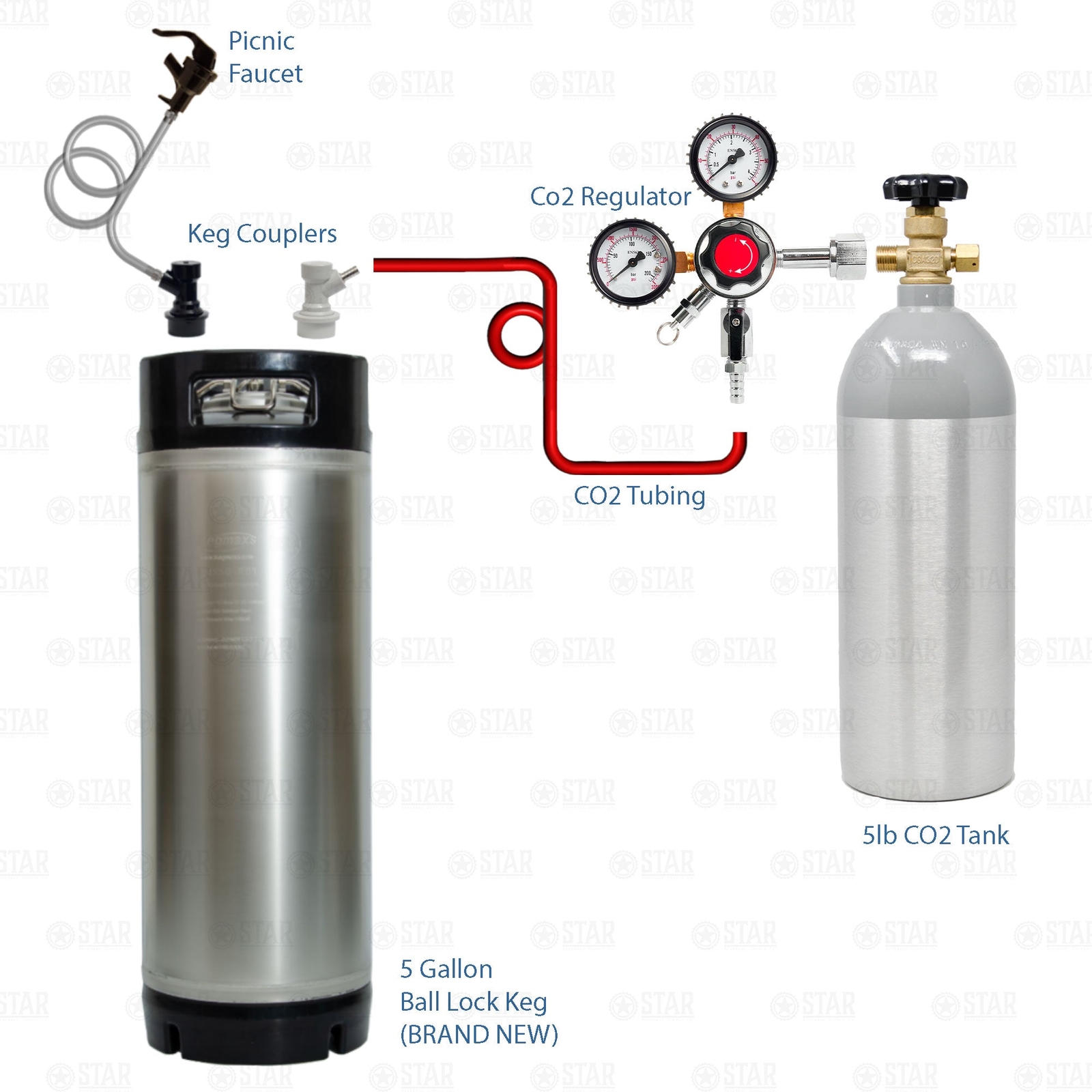 Portable Home Brew Beer Dispensing Kit Ball Lock Corny Keg + 5lb CO2