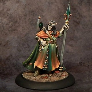 Reaper 25th Silver Anniversary 01607 Elanter the Lost Prince Limited Edition D&D