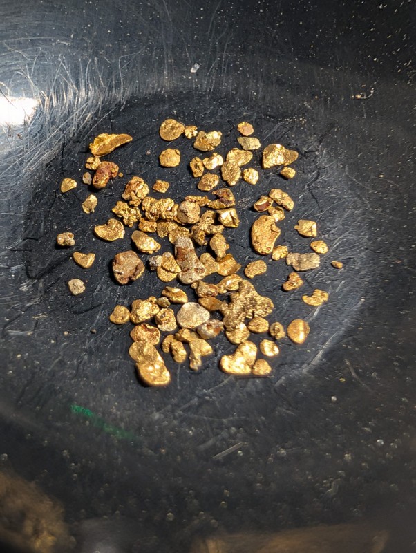 0.103 Gram Calif. High Purity Raw Placer Gold From The Beautiful Yuba River. 