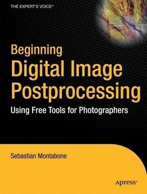 Sebastian Montabone Beginning Digital Image Processing (Paperback) (UK IMPORT)