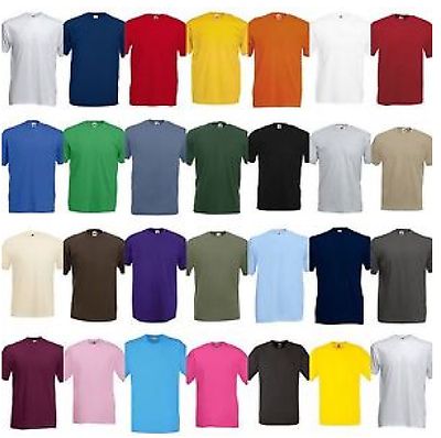 FRUIT OF THE LOOM / Tシャツ/先住民/L/コットン/マルチカラー Pack of 3 Fruit of the Loom T shirt 100% Cotton Plain T-shirT Men