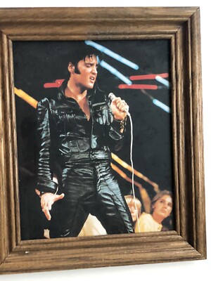 Original 1950s Elvis Presley Concert Photograph Color Photo 10 x 8