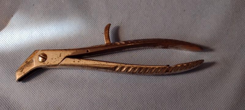 Antique Medical Instrument/ Bone Robgeuz