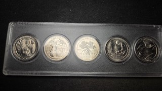 2020 W Quarters (V75) Complete Set (5 Quarters) 🔥
