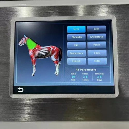 488 Khz Tecar Ret Cet Physical Equine Therapy Physiotherapy Animal Pain Relief - 第 6/15 張圖片