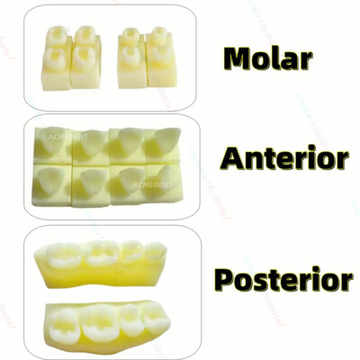 3Sets Dental Caries Decay Teeth Model Composite Restore Template Anterior Molar