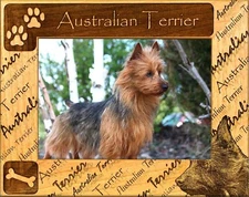 Australian Terrier Laser Engraved Wood Picture Frame (5 x 7)