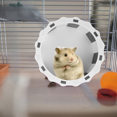 Ruota da corsa silenziosa fitness criceti esercizio piccoli animali ruote porcellino d'India - Foto 3 di 12