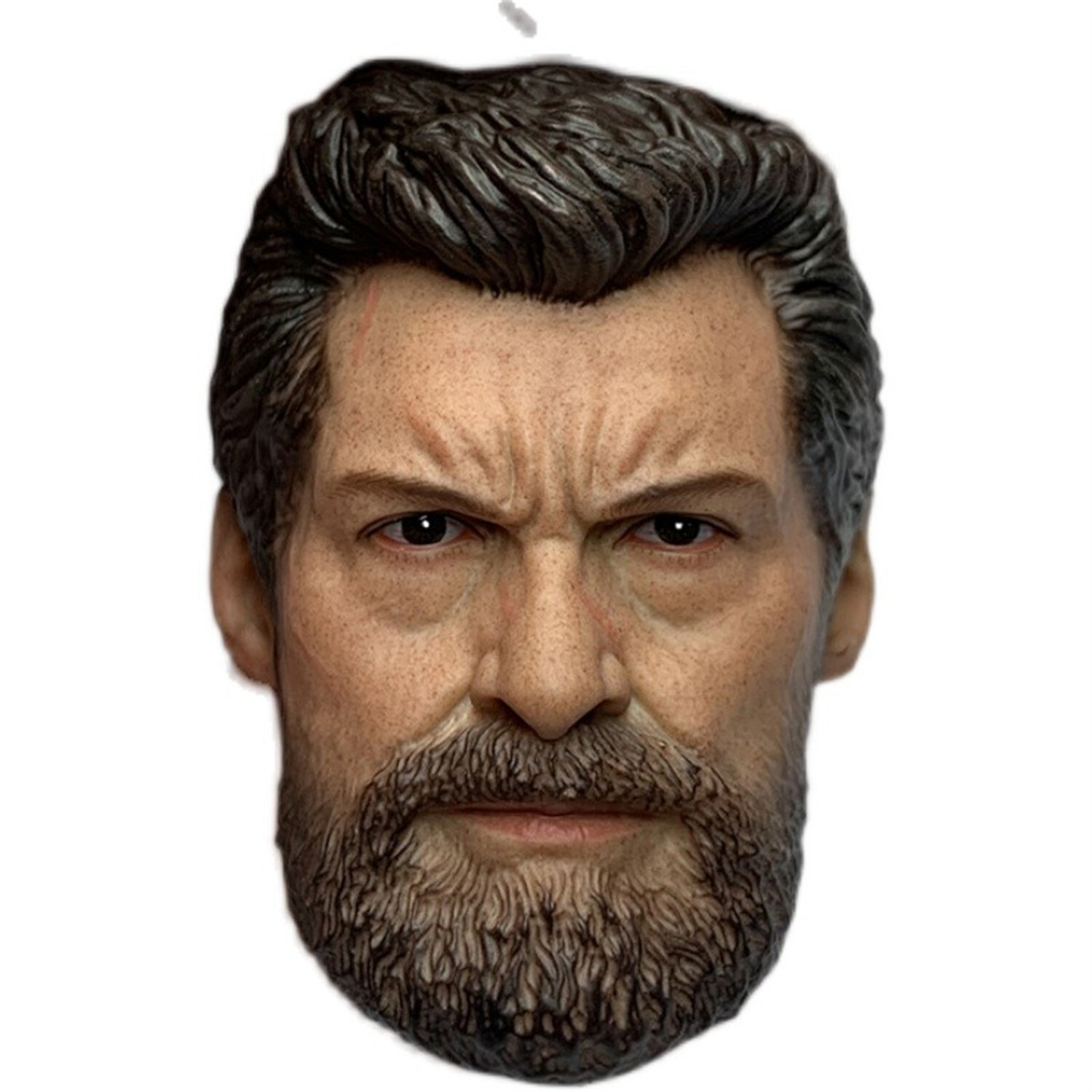 1/6 Old Logan Wolverine Head Sculpt DIY 12'' HT Action Figure
