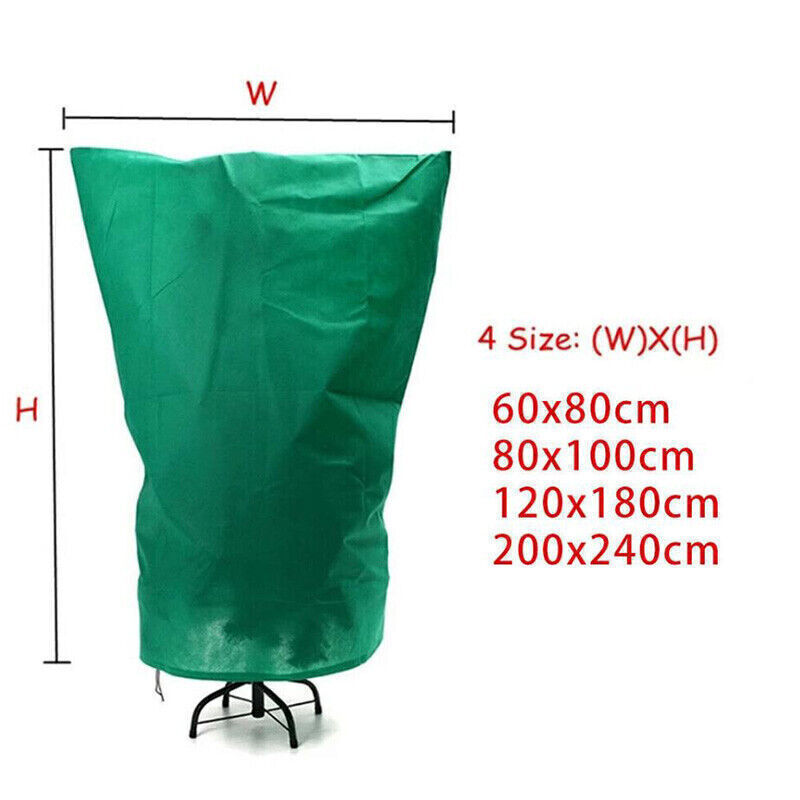 XXL großes Winterschutz Frostschutz für große Pflanzen Palme Palmen eBay