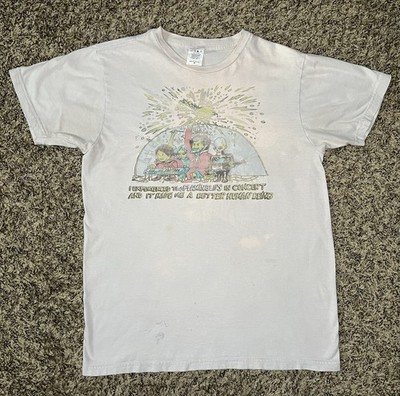 Vintage The Flaming Lips Experienced Live Psychedelic Punk Band MD 18.5  X 25 