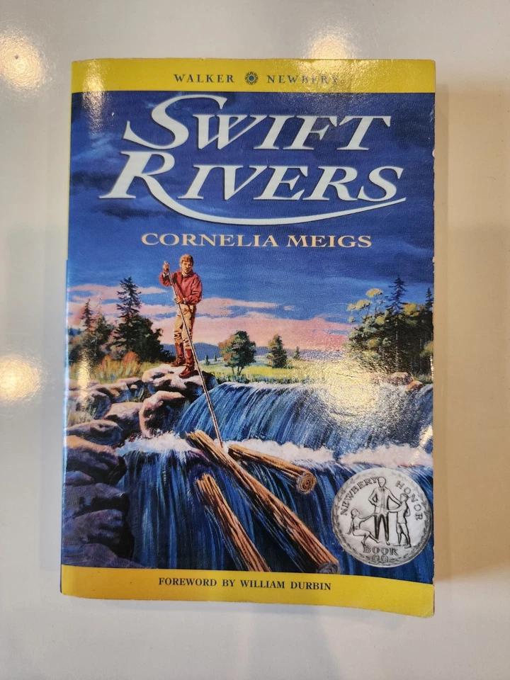 Lot of 17 Books. YA Fantasy Classics Christian Fiction Thriller, Mixed Authors Foto 4 de 4