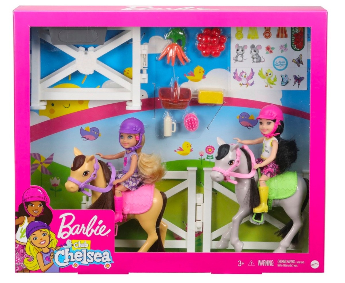Barbie Club Chelsea Barbie Chelsea Playset With Dolls Barbie Club