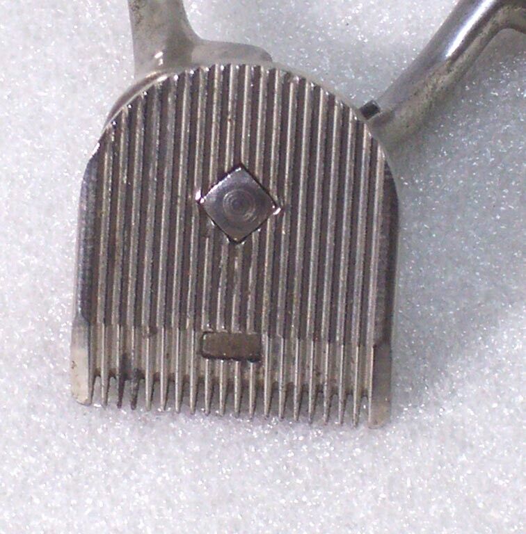 Picture 4 of 5