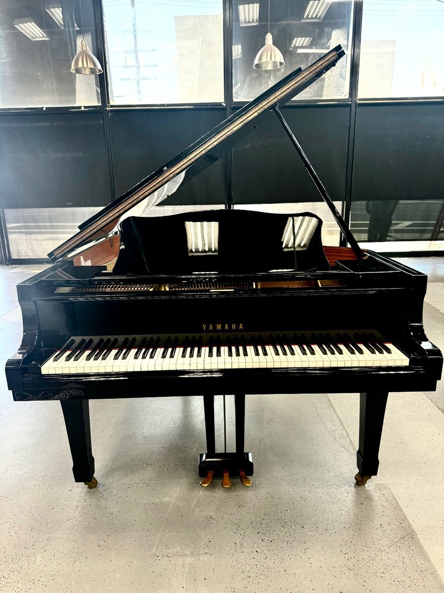 s-l1200.jpg