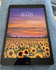 Apple iPad 8th Gen 128G WIFI