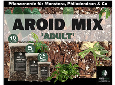 Aroid Mix Adult Monstera Erde Anthurien Philo...