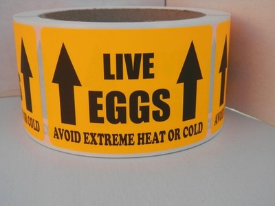 250 sticker, LIVE EGGS AVOID EXTREME HEAT/COLD labels 2x3 Fluorescent Orange