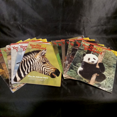 Lot 14 Big Backyard Magazine 2000s National Wildlife Federation NWF Nature Anima