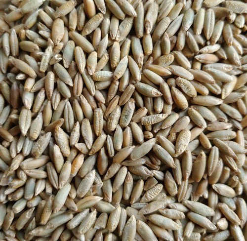 Organic Seeds for Sprouting Sprouts, Microgreens, Healthy Salad - 30 types seed - Picture 37 of 38